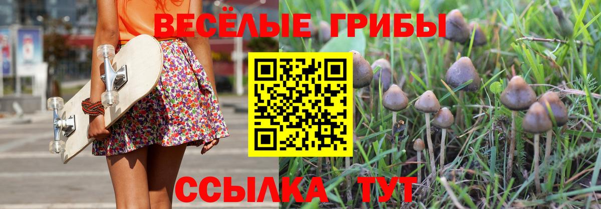 Усть-Джегута  Псилоцибиновые грибы Magic Shrooms  Псилоцибиновые грибы прущие грибы  Вход с VPN 