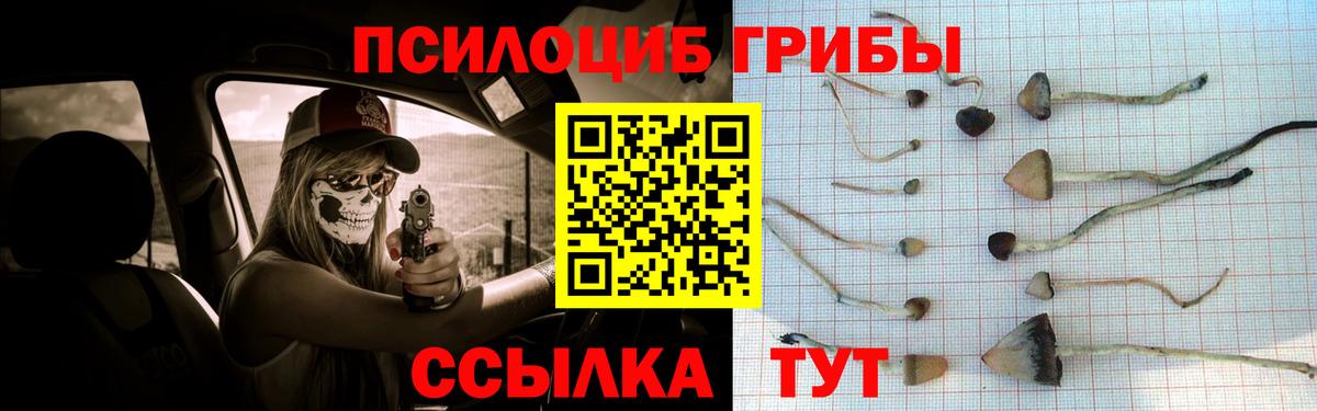 Псилоцибиновые грибы Cubensis Усть-Джегута
